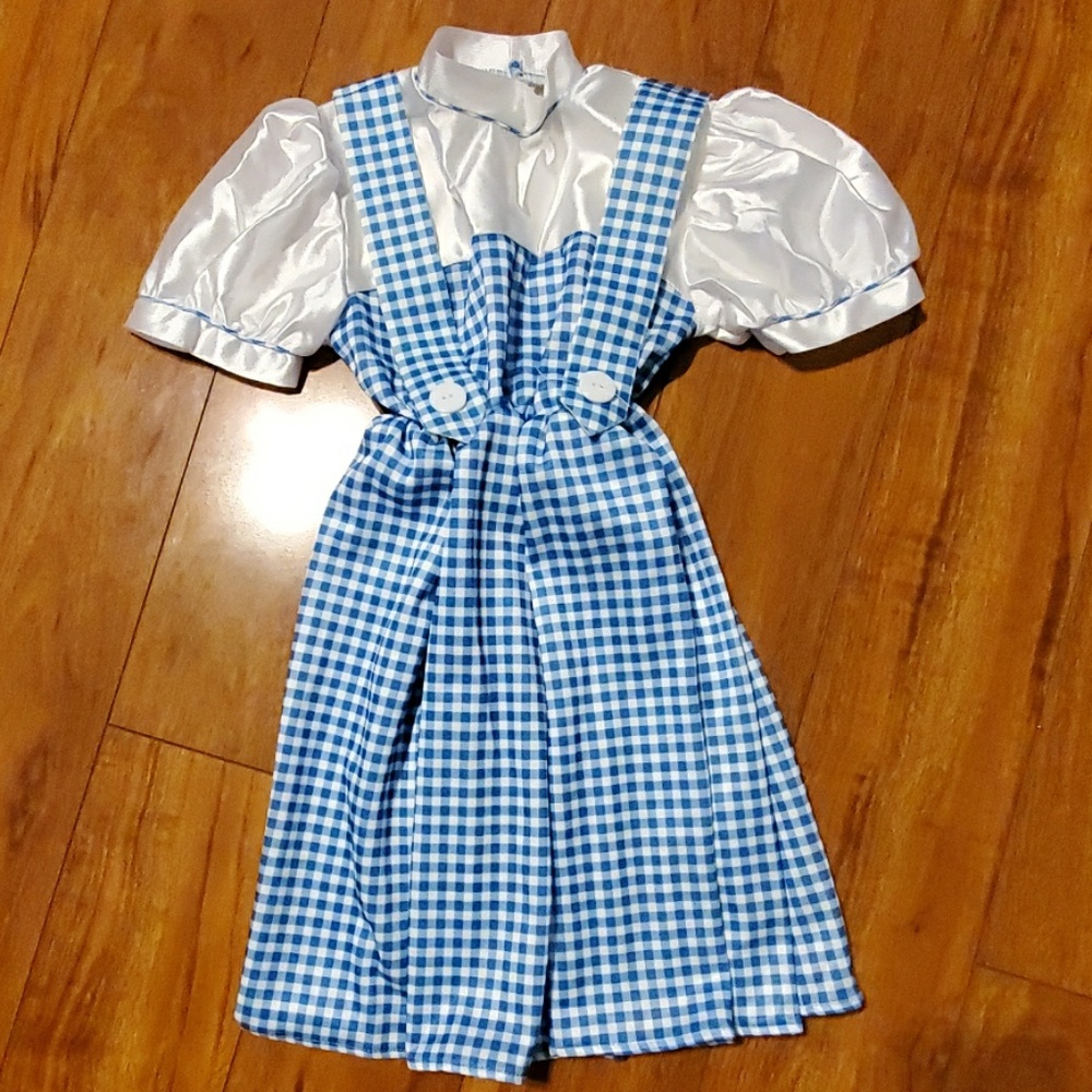 Halloween Costume Wizard of Oz Dorothy